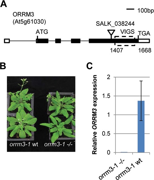 Figure 3.