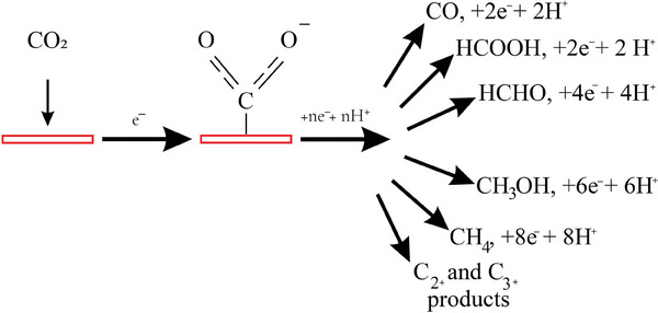 Scheme 5