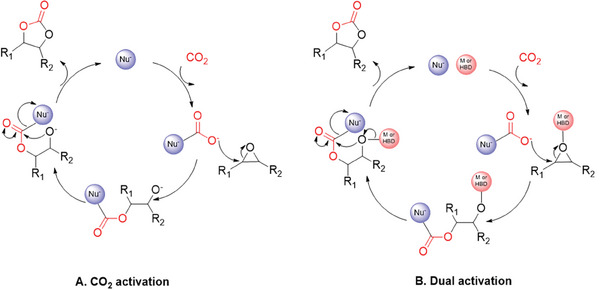 Scheme 3