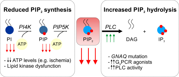 Fig. 6.