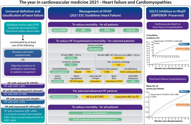 Graphical Abstract