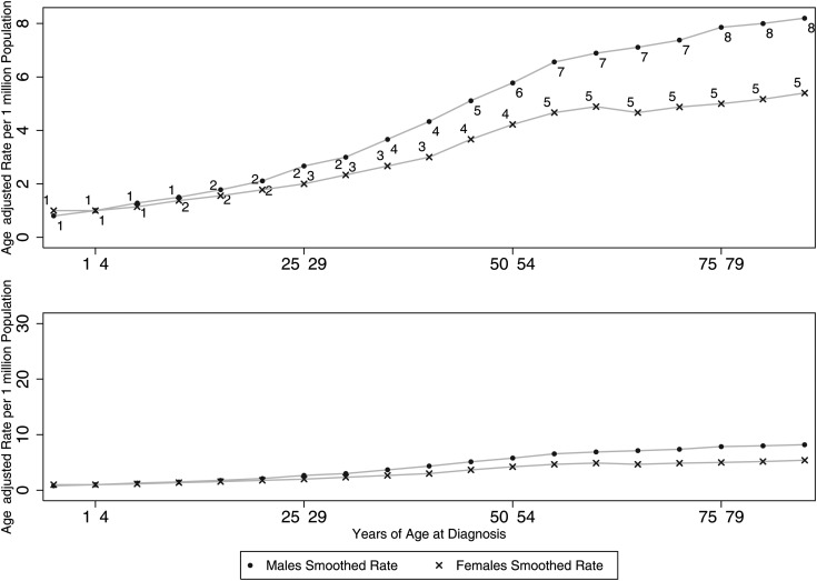 Fig. 1.