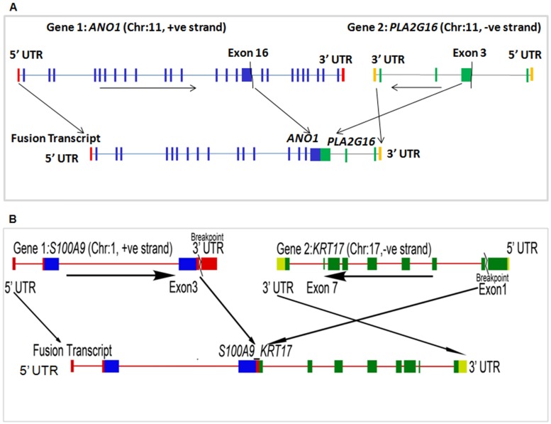 Fig 4