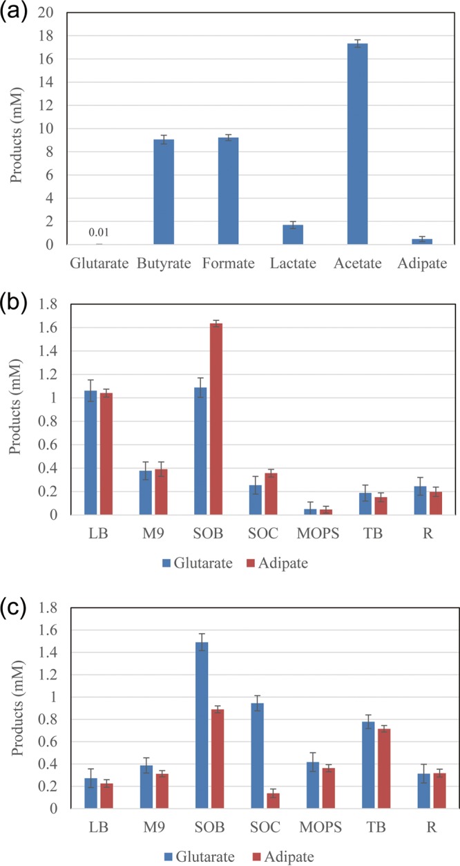 FIG 2