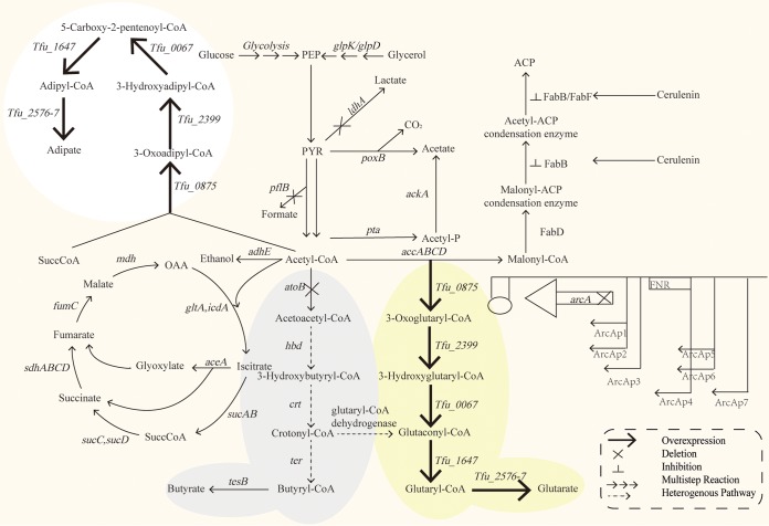 FIG 1