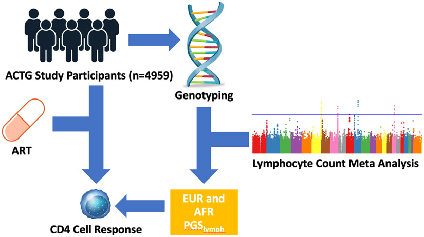 Figure 1:
