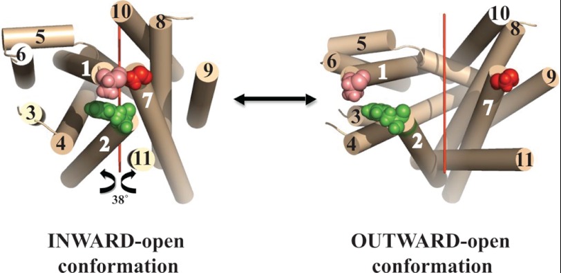 FIGURE 1.