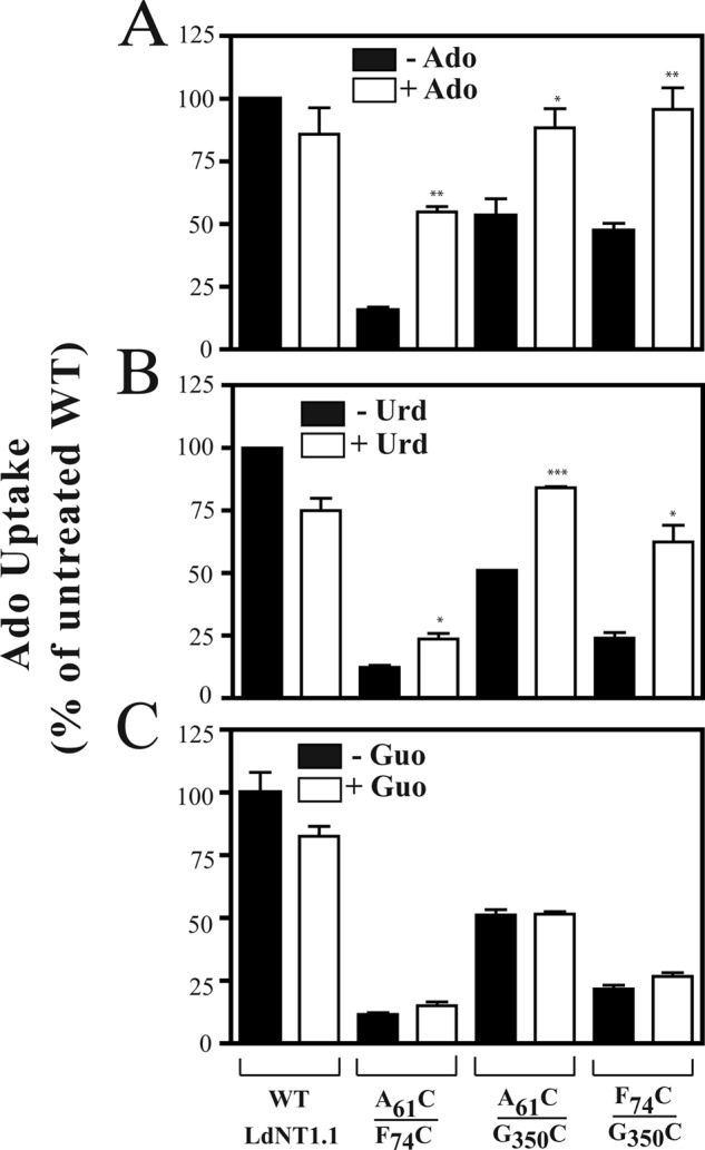 FIGURE 4.