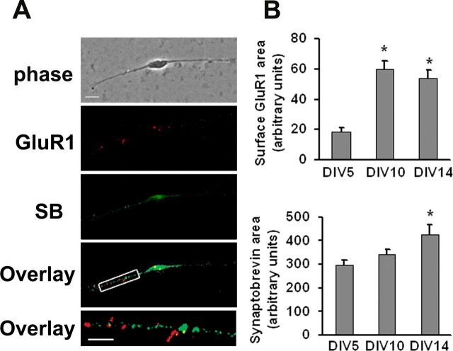 Figure 2.