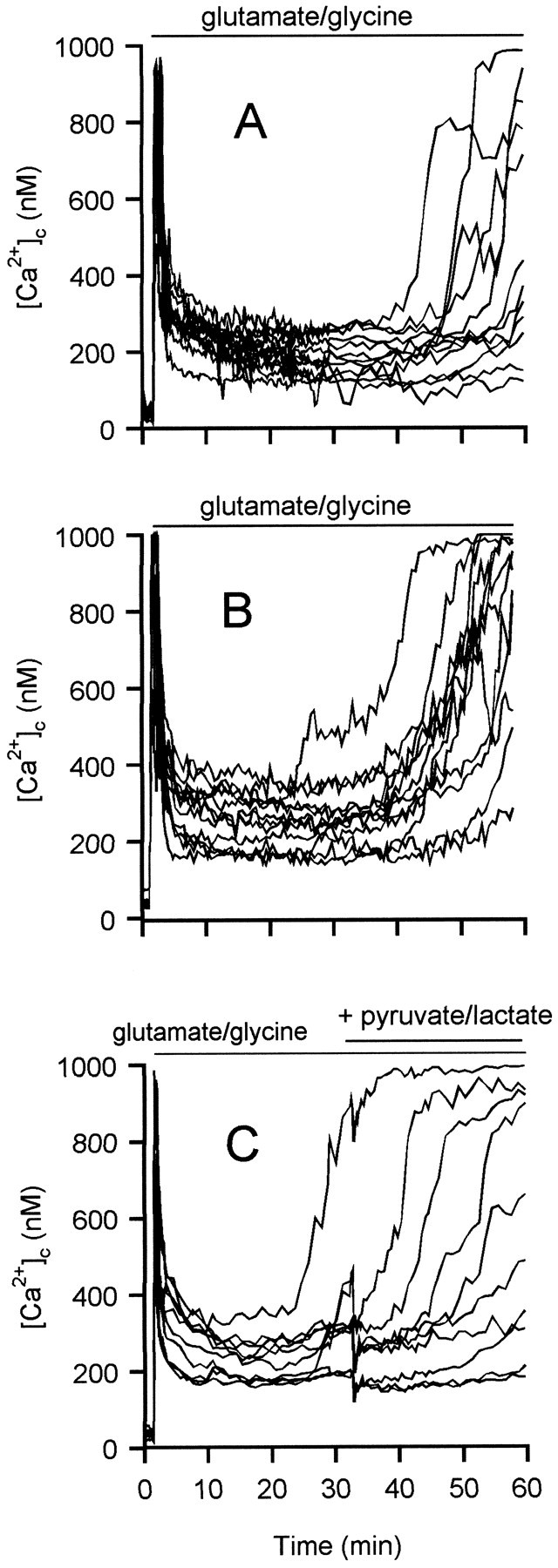 Fig. 8.