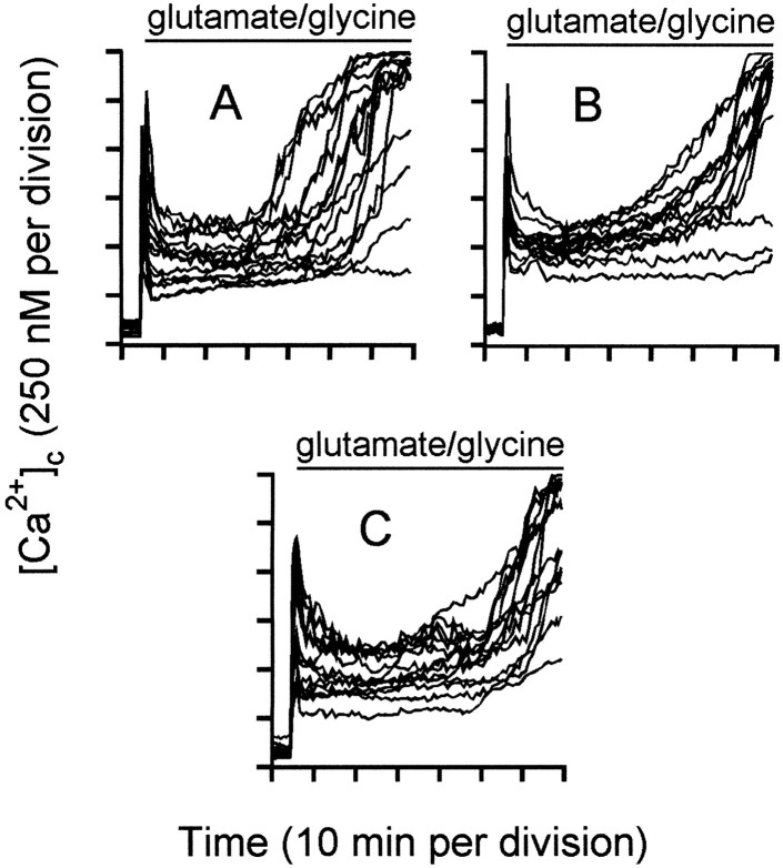 Fig. 9.