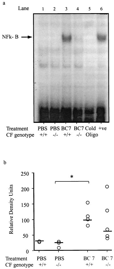 FIG. 7