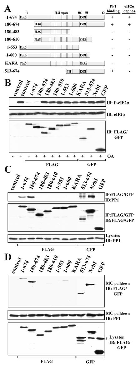 FIG. 3.