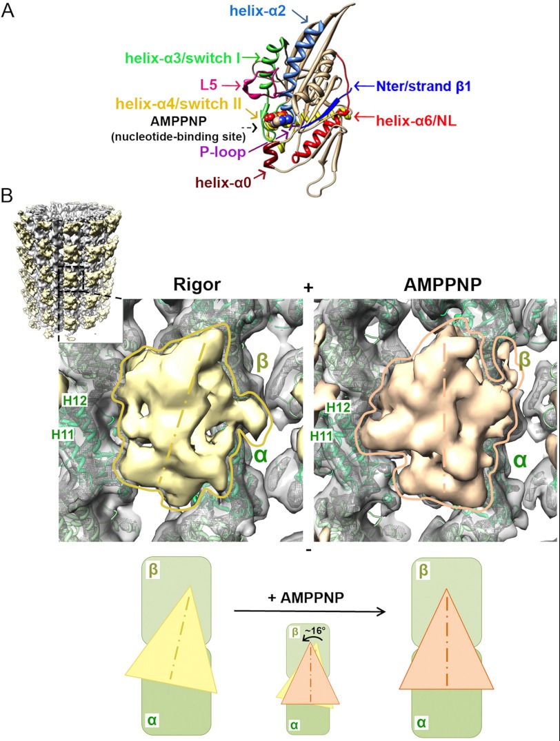 FIGURE 1.