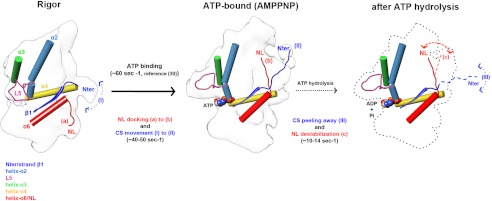 FIGURE 7.