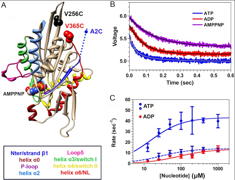 FIGURE 4.