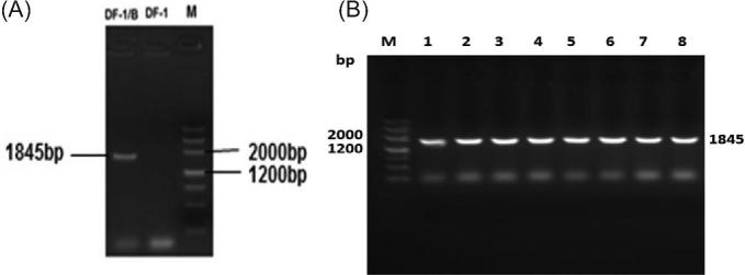 Figure 2.