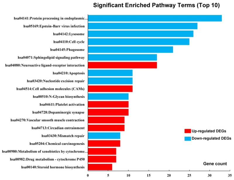 Figure 6