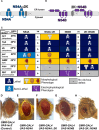 Fig. 3.