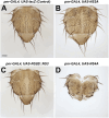 Fig. 2.