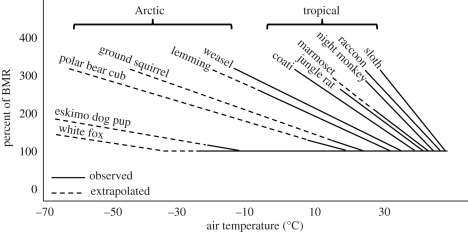 Figure 5.