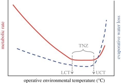 Figure 2.