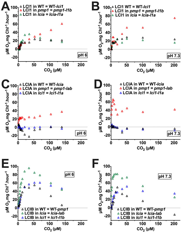 Figure 12.