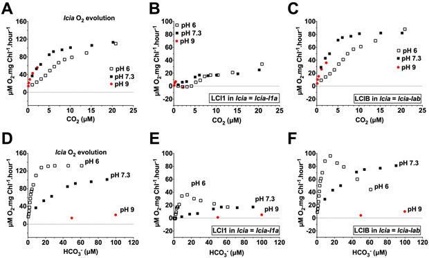 Figure 9.