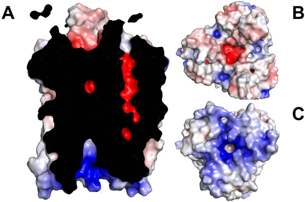 Figure 3.