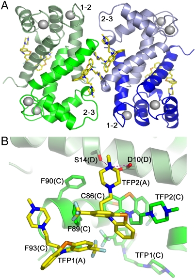 Fig. 2.