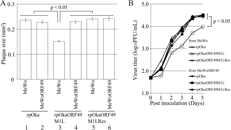 FIG 3