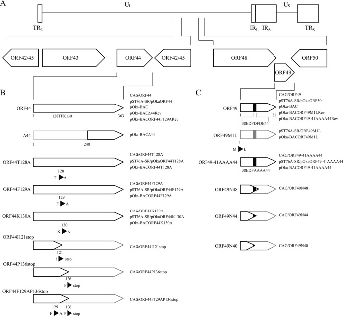 FIG 1