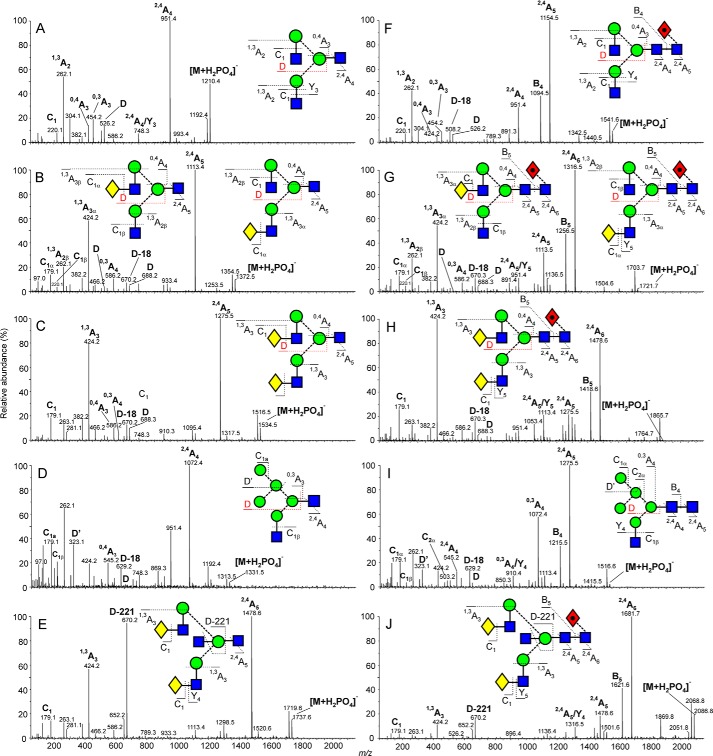 FIGURE 2.