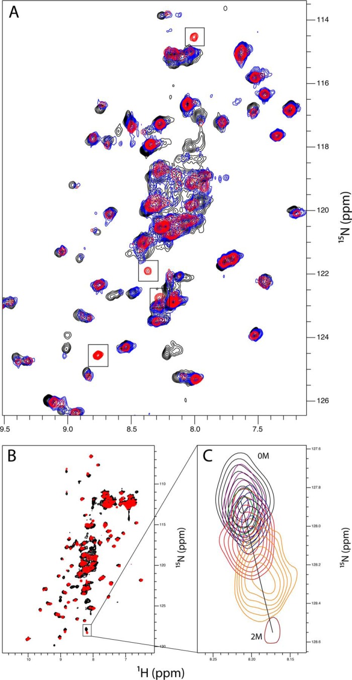 FIGURE 6.