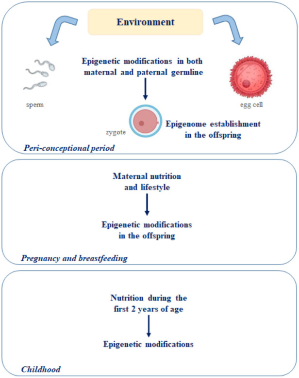 Figure 3.