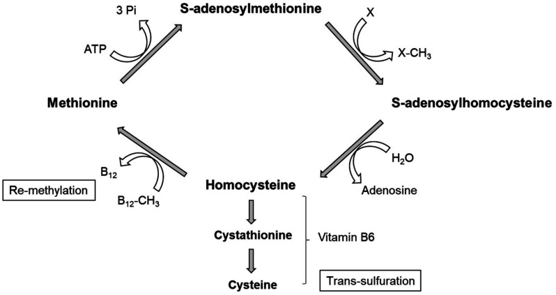 Figure 5.