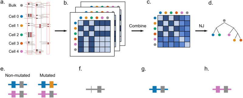 Fig 1