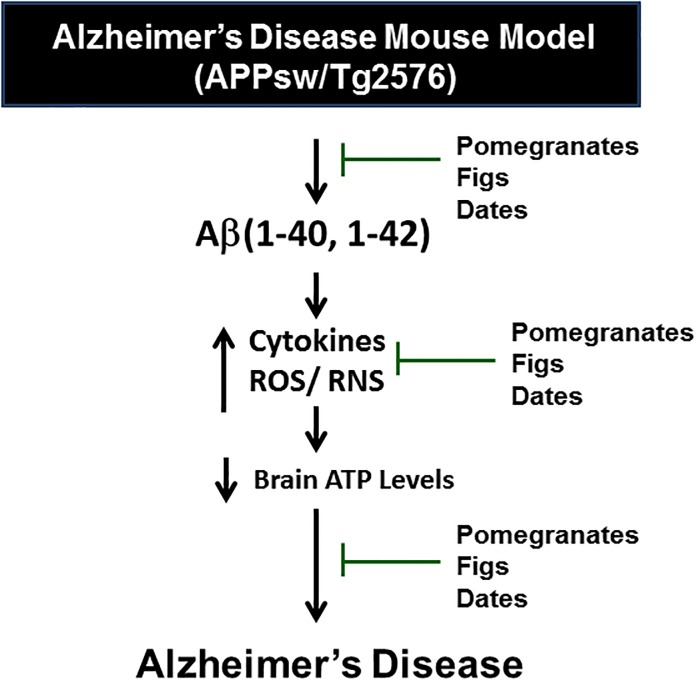 Fig 4