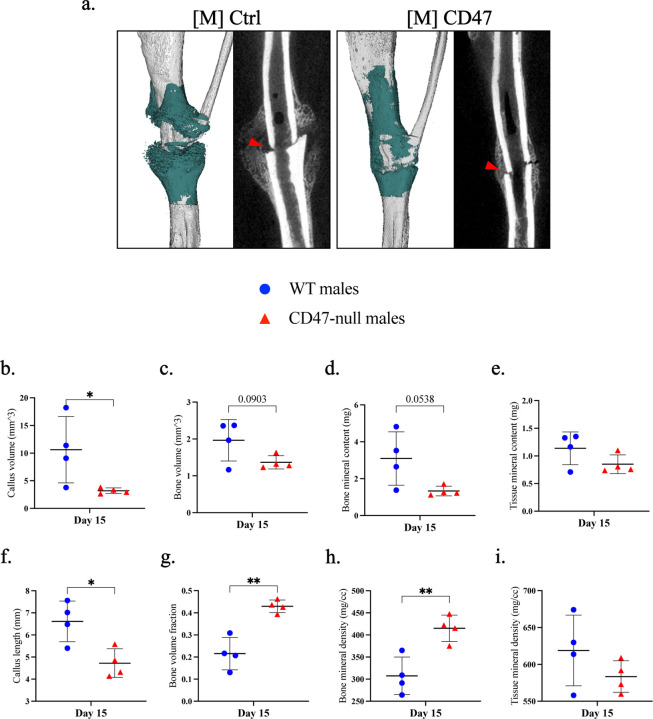 Figure 9.