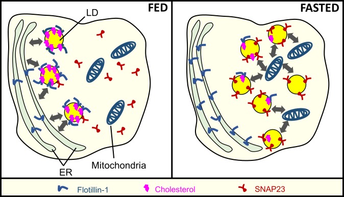 Fig 5