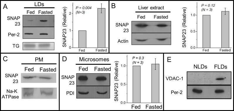 Fig 4