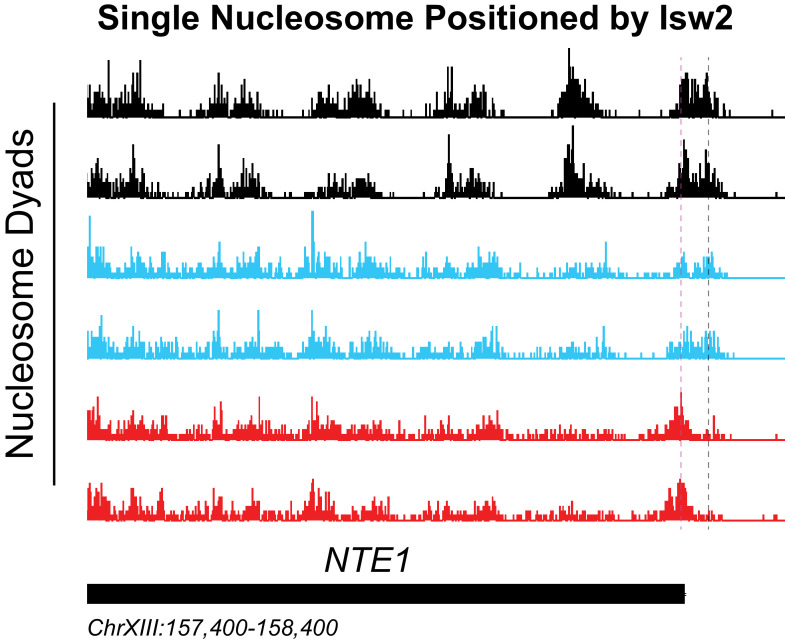 Figure 1—figure supplement 2.