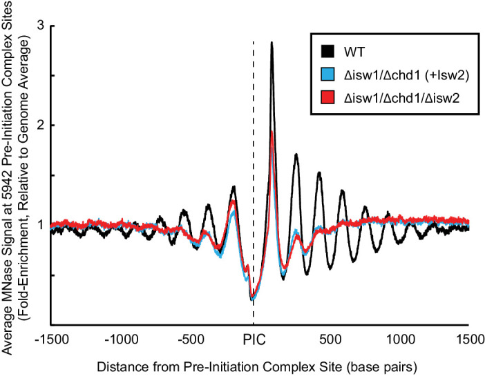 Figure 1—figure supplement 1.