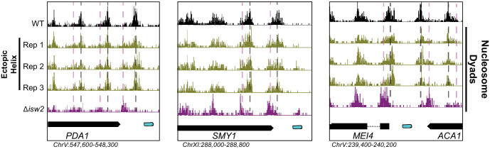 Figure 2—figure supplement 7.