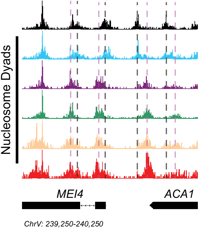 Figure 1—figure supplement 5.