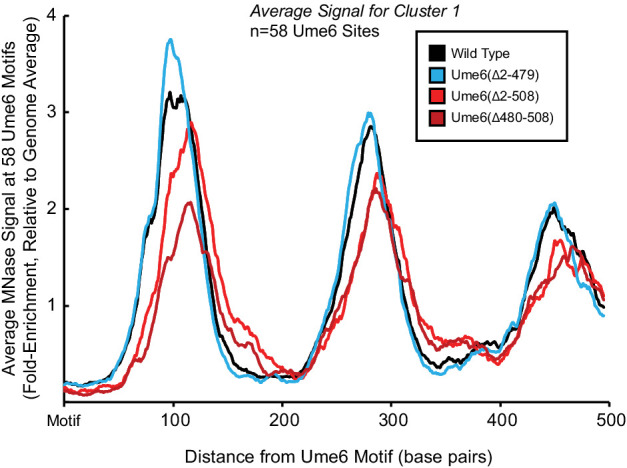 Figure 2—figure supplement 2.