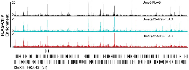 Figure 2—figure supplement 3.