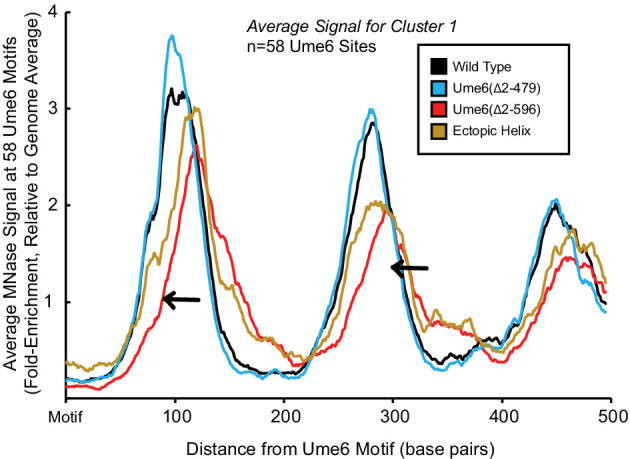 Figure 2—figure supplement 6.