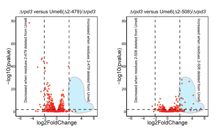 Figure 2—figure supplement 5.