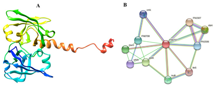 Figure 4